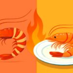 シータイガーがまずい理由と絶品調理方法で激変させるコツ